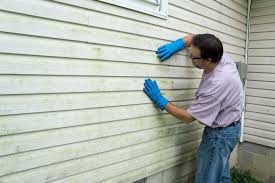 Best Historical Building Siding Restoration  in Oakhurst, NJ